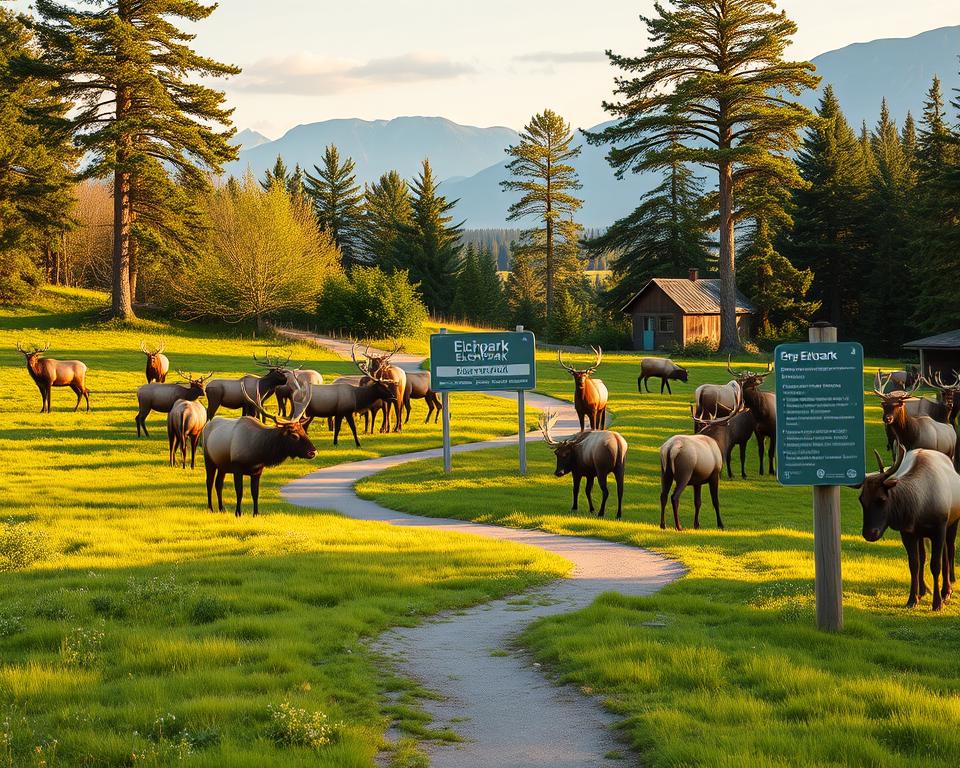 Elchpark Öffnungszeiten und Besuchszeiten