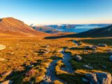 hardangervidda wandern