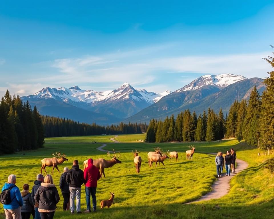 Langedrag Naturpark Besuchertipps Langedrag Naturpark Besuchertipps